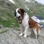 Hotel Rendez-vous -